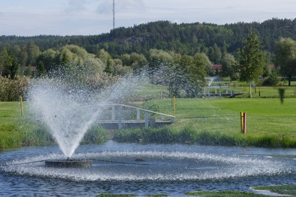 Naisten kilpailutiedote kaudelle 2014