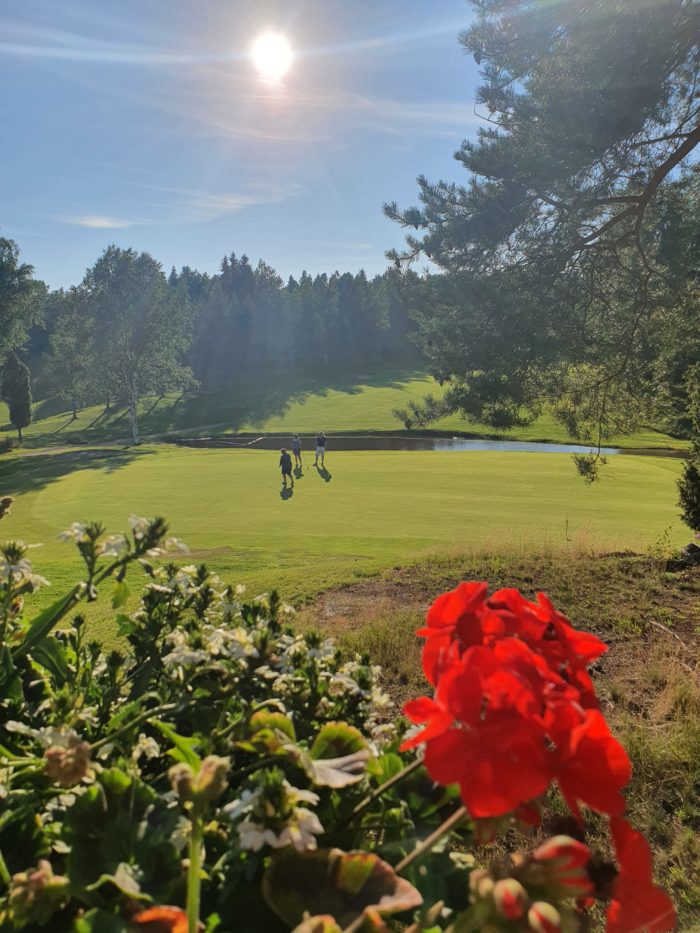 Pickala dominoi Nevaksessa